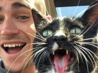 双子かよ！「二年前の今日施設から愛猫を引き取った時の写真だよ」猫の表情にReddit民も喜んだ