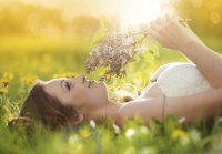 iStock_000038437790_Medium