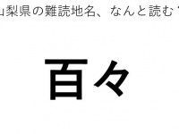 ヒント：ど○○○