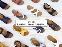 株式会社エルツ・インターナショナルのプレスリリース画像