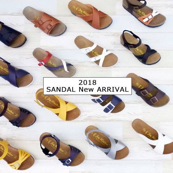 株式会社エルツ・インターナショナルのプレスリリース画像