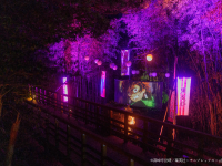 株式会社ニジゲンノモリのプレスリリース画像