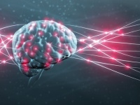 脳を保存して意識をコンピューターにアップロード。電脳化の為の脳保管プロジェクトが開始される。ただし100％致死的