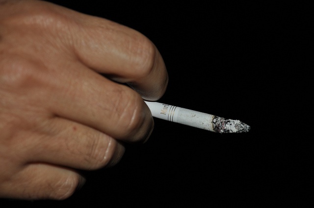 画像はイメージです（Navid.Safaeさん撮影、Flickrより）