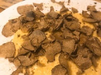 Gocciaのプレスリリース画像