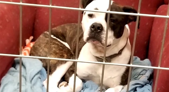 スクリーンショット-(549)