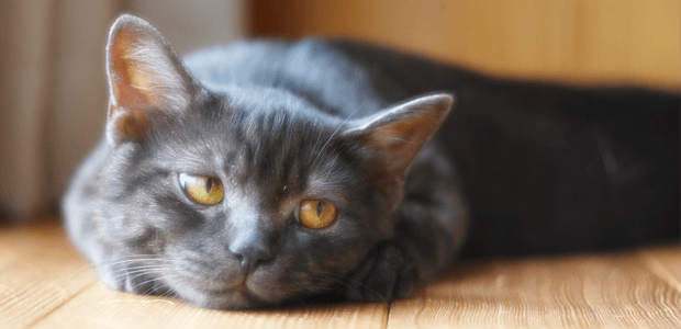 「Doctors Me（ドクターズミー）」コラム画像