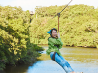 株式会社ニジゲンノモリのプレスリリース画像