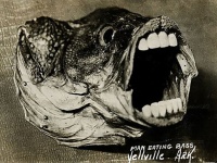 昔からコラ職人は存在した。デジタル加工が普及する前に作られた20世紀初頭の白黒コラ写真