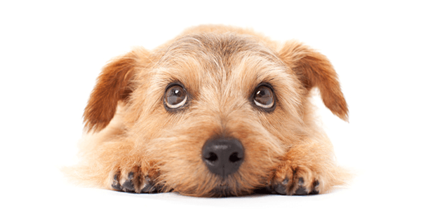 「Doctors Me（ドクターズミー）」コラム画像