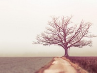 どう違う？　「寂しい」と「淋しい」の意味