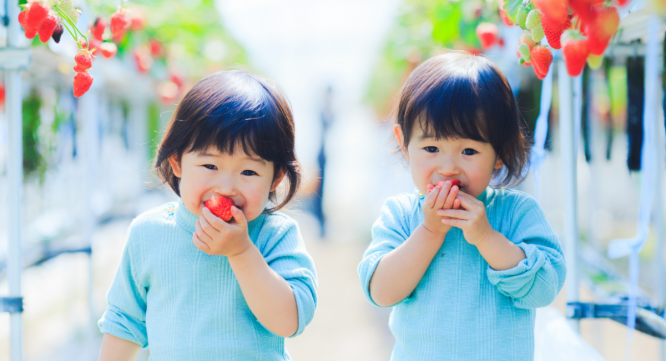 ボーダー株式会社のプレスリリース画像