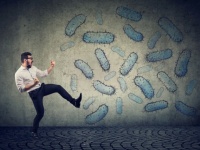 非光合成細菌にも体内時計があることが判明（ドイツ研究）