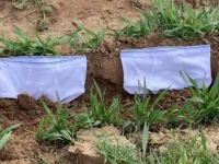 スイスで白いパンツを何千枚も土に埋める実験が行われている件。いったい何目的なのか？