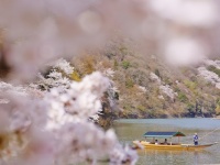 株式会社星野リゾートのプレスリリース画像