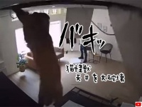 突如天井崩壊、その後猫が落ちてきて「にゃぁ？」