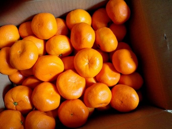 みかん。画像は本文とは無関係です（pika1935さん撮影、flickrより）