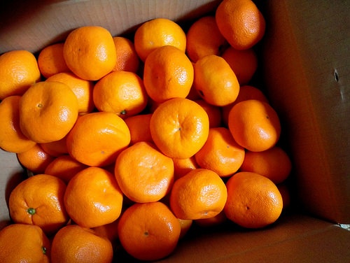 みかん。画像は本文とは無関係です（pika1935さん撮影、flickrより）