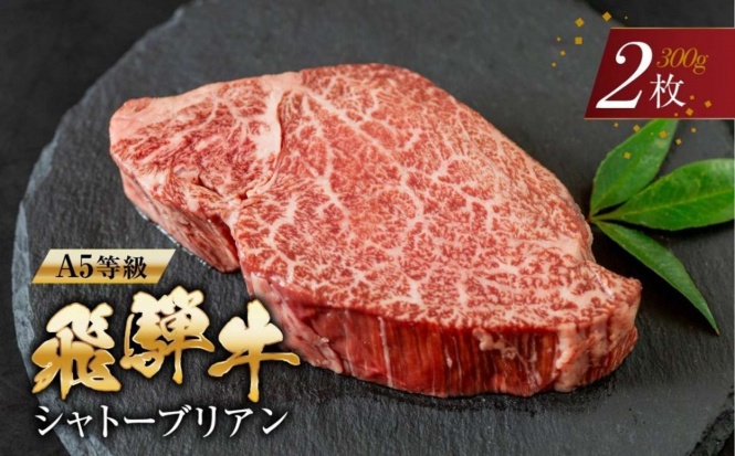 岐阜県 本巣市「[A5等級] 飛騨牛 シャトーブリアンステーキ 2枚」40000円（ふるさとチョイスより）
