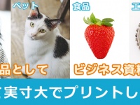 スタジオ・モーラのプレスリリース画像