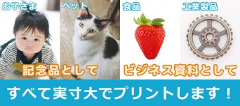 スタジオ・モーラのプレスリリース画像