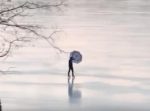空を飛んでるみたい！　風の強い日に凍った湖の上で傘を広げると…？