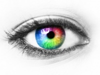 実際には存在するが、人間の目では見ることができない「禁色」とは？