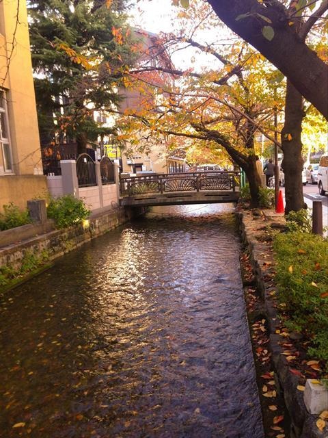 town20151127185702.jpg