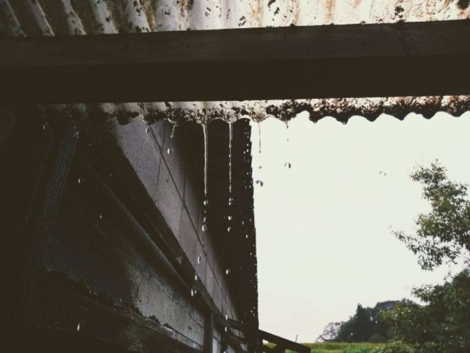 なんとか雨に濡れない場所へ（画像はイメージ）