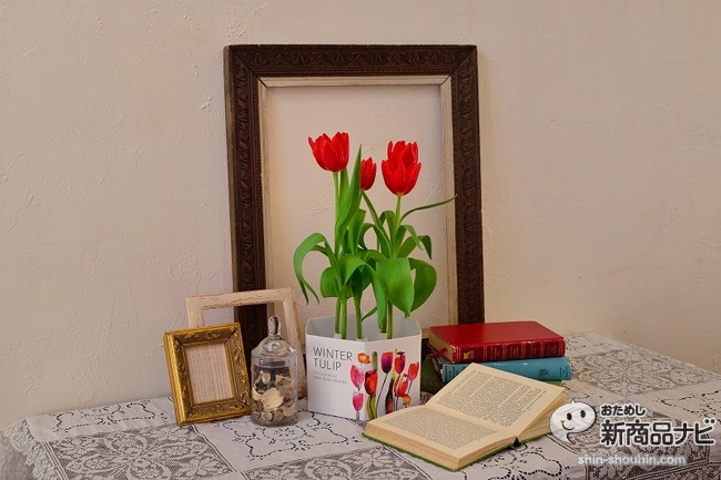 winter tulip_11