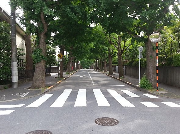 田園調布の街路