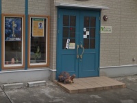 石川各地の「謎の動物」を追う（C）Google
