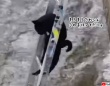 川の凍った場所から身動きが取れなくなった猫、梯子を使っての救出大作戦