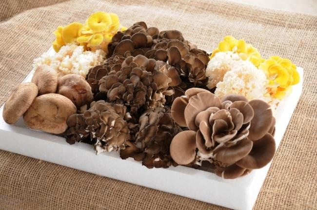 出品例「茨城県・七会きのこセンター　季節のきのこセット」（出品商品は随時更新されます）