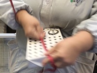 は、早い...！
