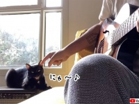 猫と共演できる喜び。飼い主のギターに合わせてニャ～♪