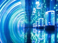 SF映画？いいえ、水族館です　超光速ワープできそうな「クラゲホール」がカッコイイ