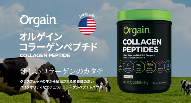 THE MOMENTのプレスリリース画像