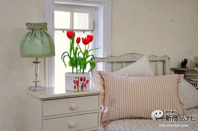 winter tulip_12