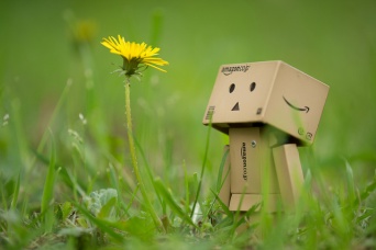 画像はイメージです（Takashi(aes256)さん撮影、Flickrより）