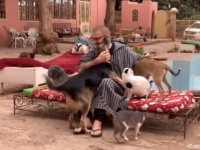 本当の楽園がここにあった！ベンチに座ると犬や猫たちがたくさん集ってくるモロッコの保護センター