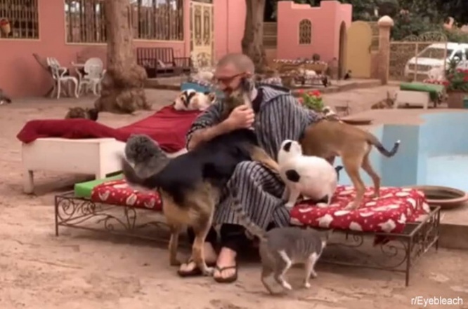 本当の楽園がここにあった!ベンチに座ると犬や猫たちがたくさん集ってくるモロッコの保護センター
