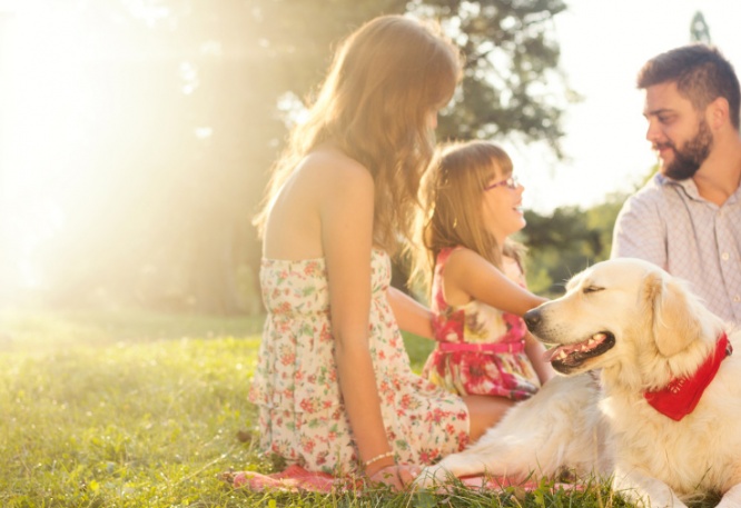 iStock_000047218604_Small