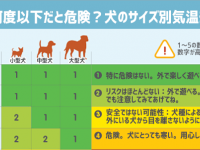 犬は喜び庭かけまわるとは限らない。犬だって寒すぎると危険？犬のサイズ別お散歩気温チャート図