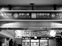 「DT」が徐々に定着している（Jessica Patersonさん撮影、Flickrより）