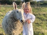 3歳の少女が仲良しの羊と調教コンテストに参加。その姿がかわい萌え（イギリス）