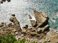 画像はイメージです