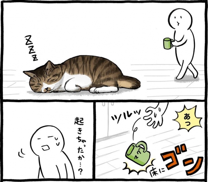 寝ている老猫がいる床に...(画像提供:卯月よう(@yo_yo_yo_u)さん、編集部でトリミング)