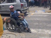 心温まる瞬間。犬が飼い主の車椅子を押し道路を横断