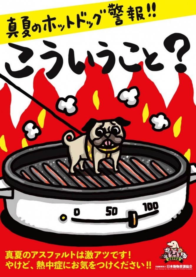 愛犬が「ホットドッグ」になっちゃうかも...？（画像は日本動物愛護協会提供）